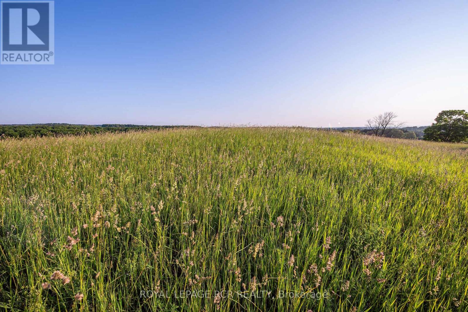 Ptlt 18 7th Line Road, Mono, Ontario  L9W 6G1 - Photo 12 - X12239350