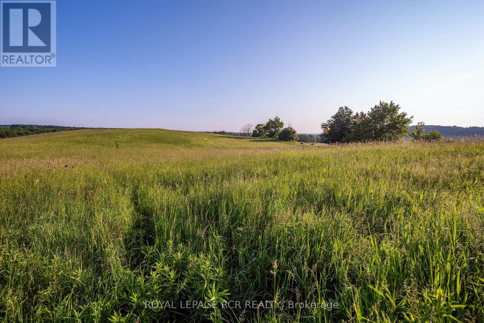 Ptlt 18 7th Line Road, Mono, Ontario  L9W 6G1 - Photo 13 - X12239350