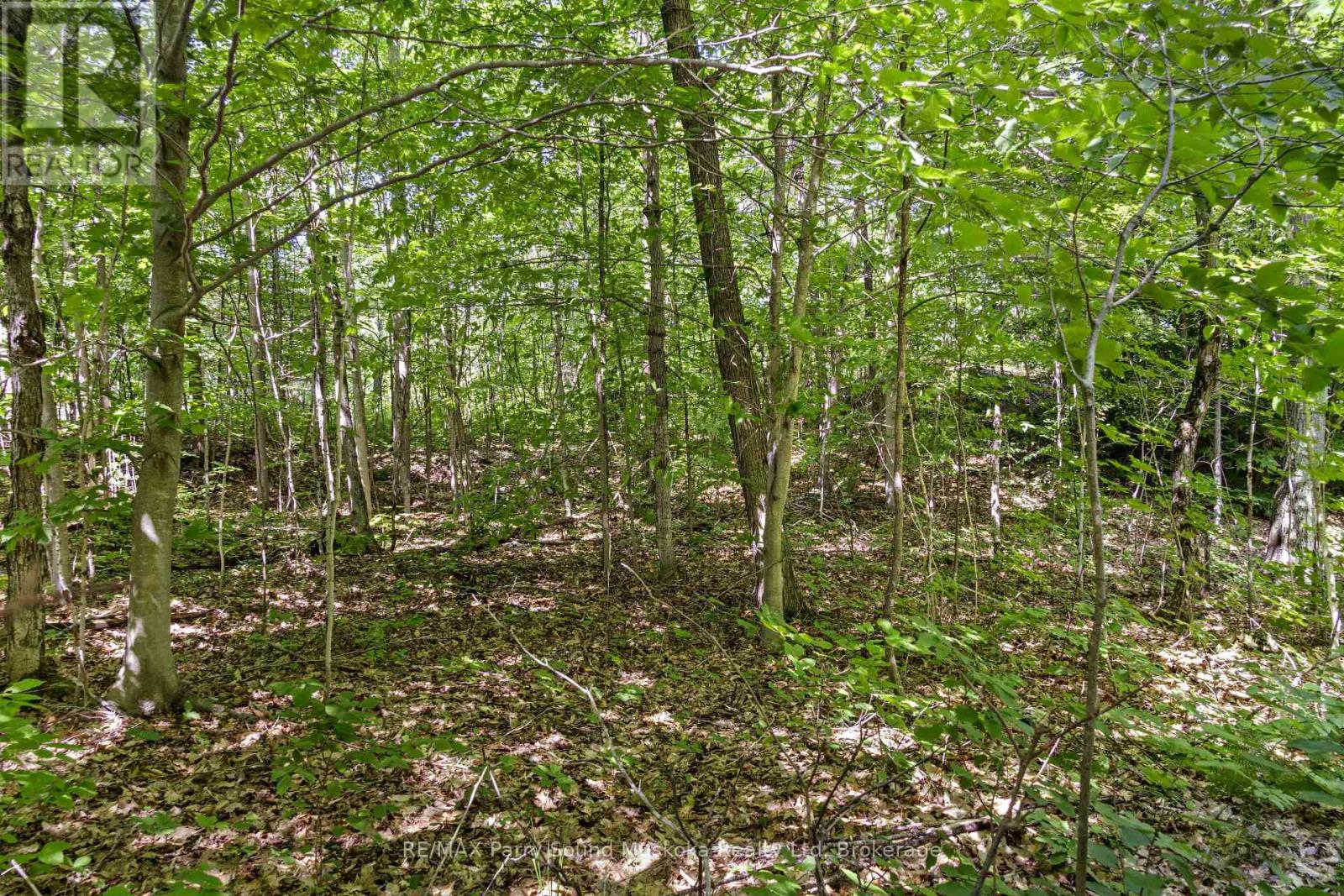 36 Fun Cottage Lane, Mcdougall, Ontario  P2A 2W7 - Photo 9 - X12264644