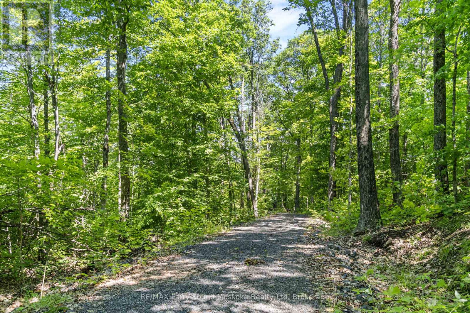 38 Fun Cottage Lane, Mcdougall, Ontario  P2A 2W7 - Photo 11 - X12264646