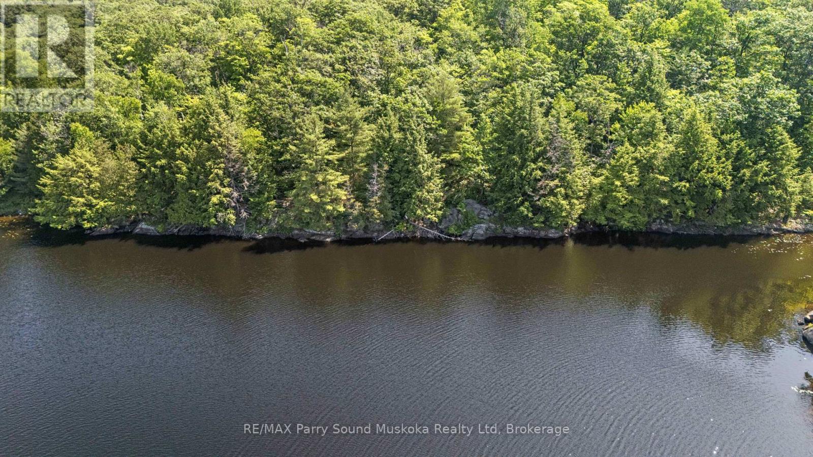 38 Fun Cottage Lane, Mcdougall, Ontario  P2A 2W7 - Photo 3 - X12264646