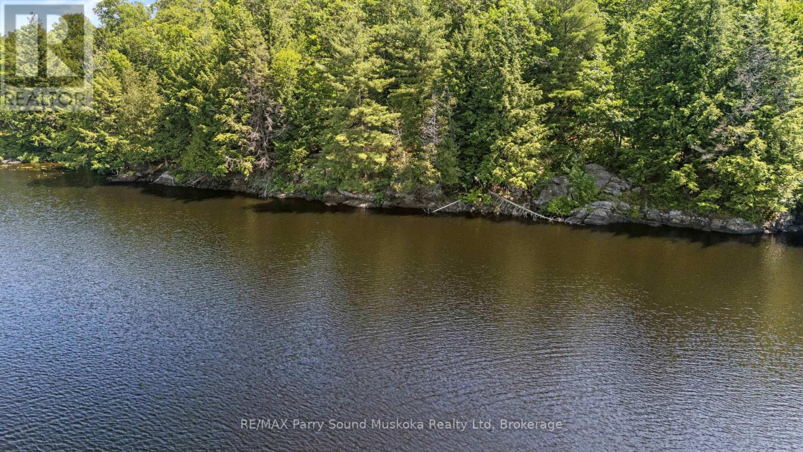 38 Fun Cottage Lane, Mcdougall, Ontario  P2A 2W7 - Photo 5 - X12264646