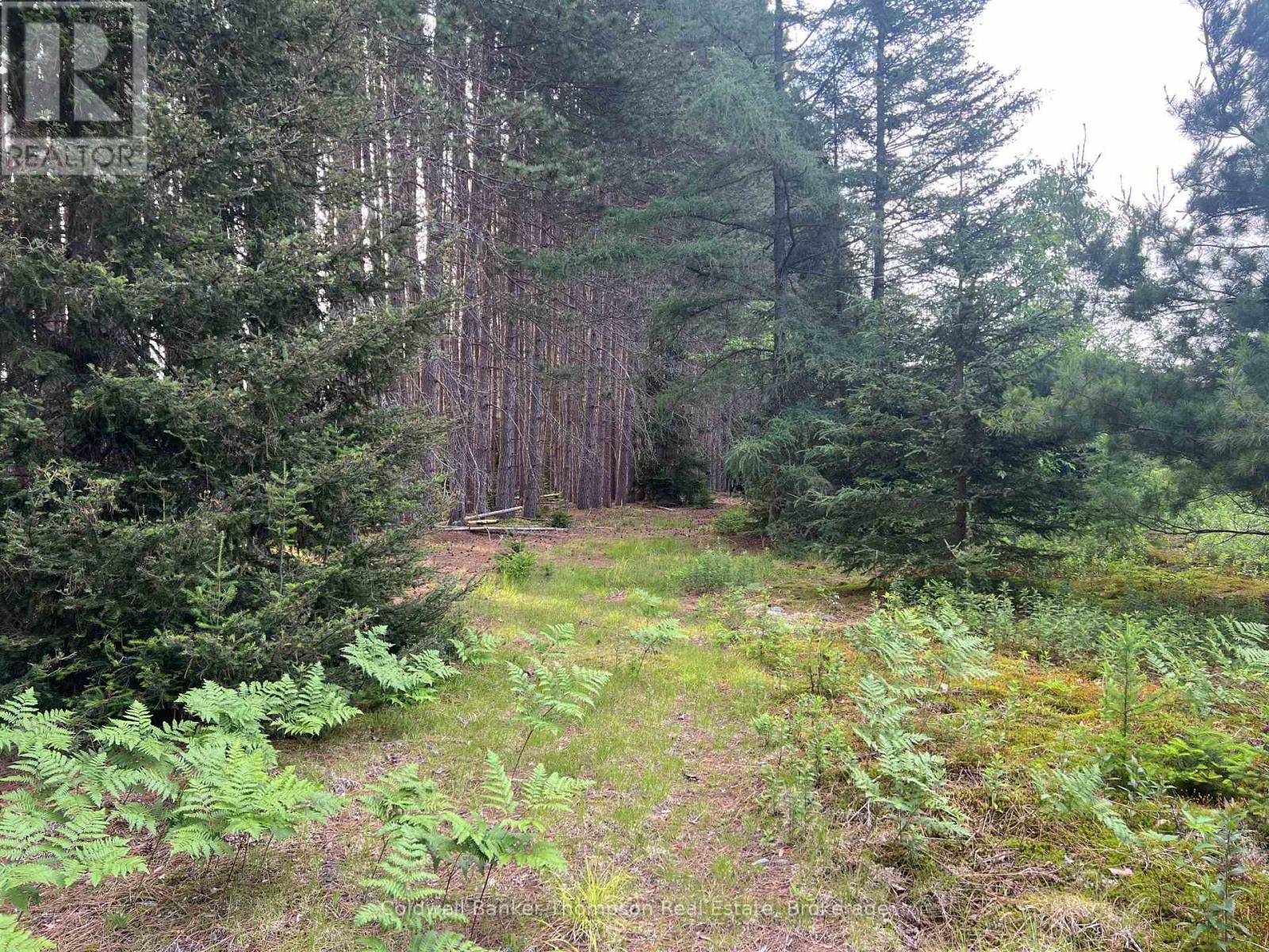 1152 Forest Lake Road, Joly, Ontario  P0A 1Z0 - Photo 10 - X12264677