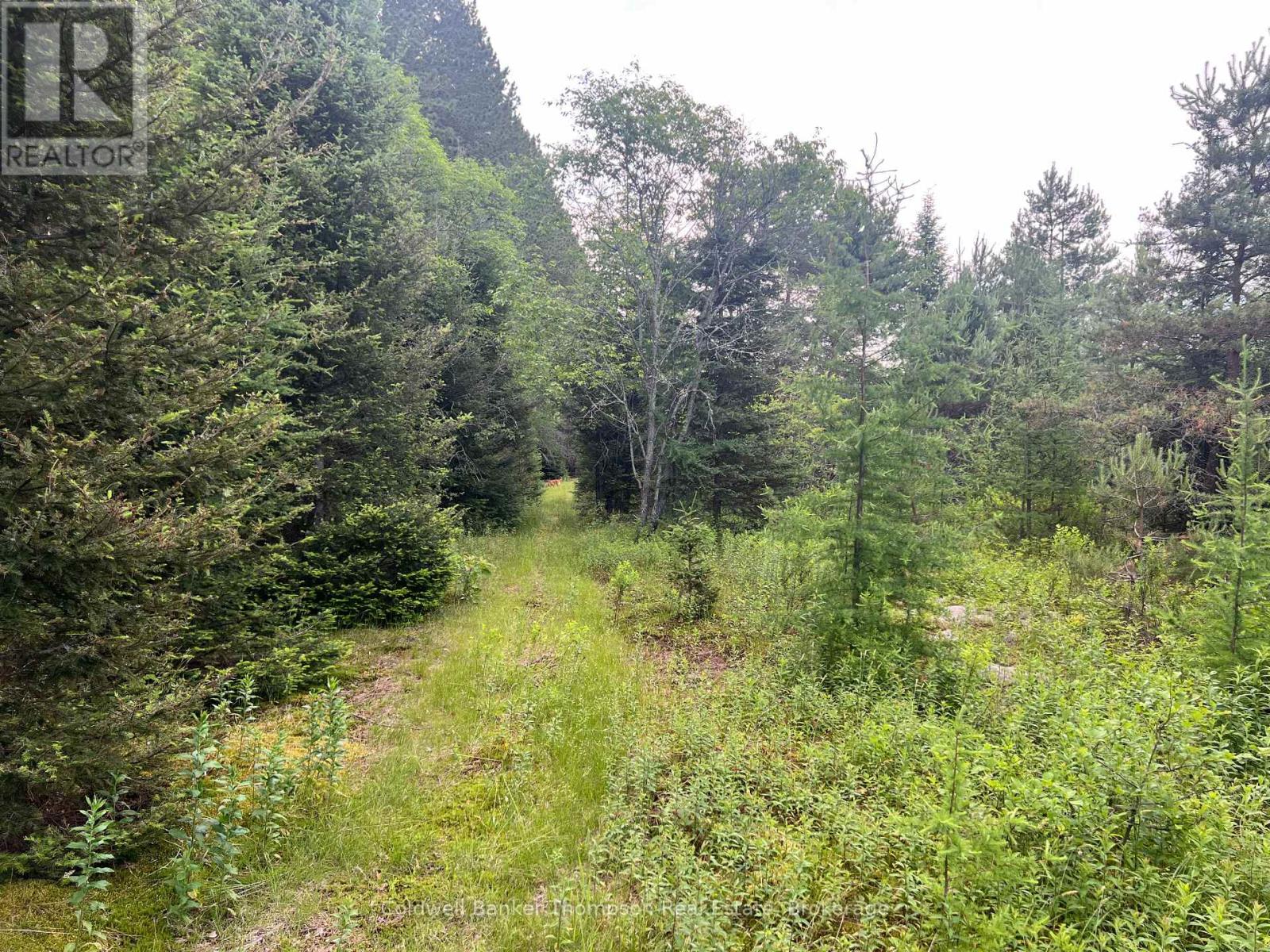 1152 Forest Lake Road, Joly, Ontario  P0A 1Z0 - Photo 11 - X12264677