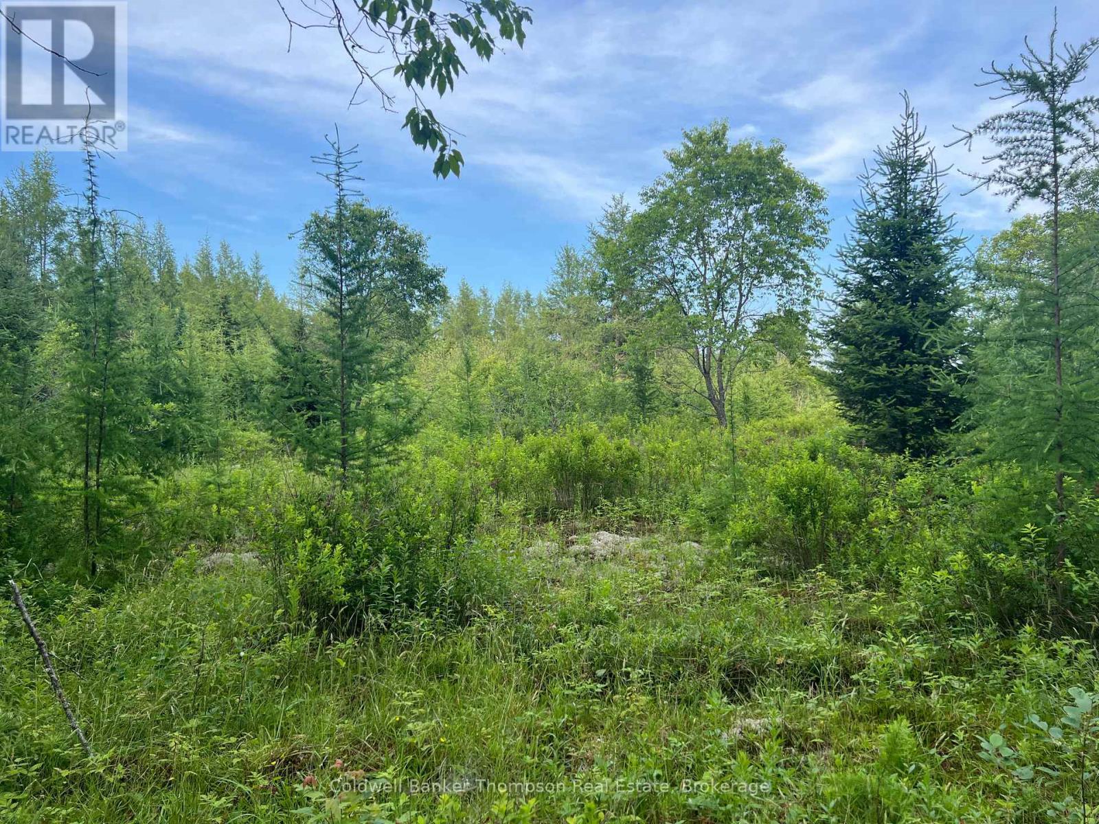 1152 Forest Lake Road, Joly, Ontario  P0A 1Z0 - Photo 12 - X12264677