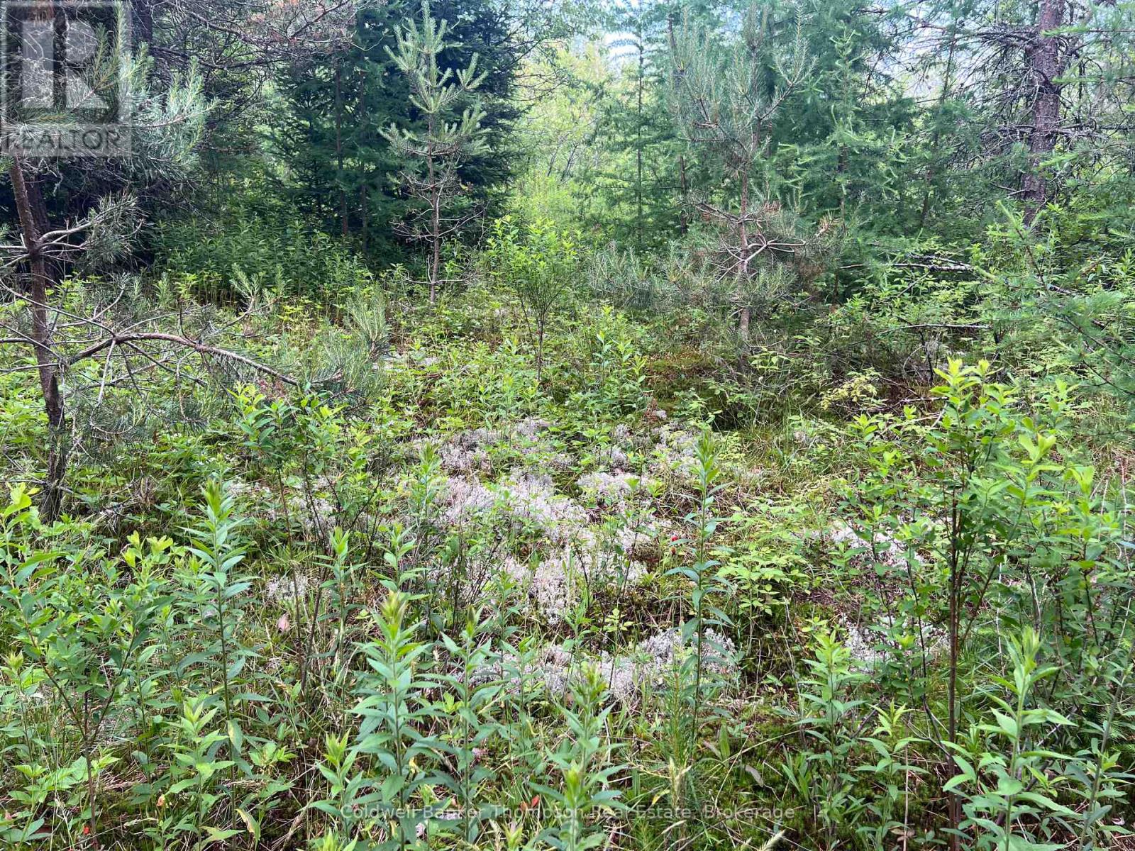 1152 Forest Lake Road, Joly, Ontario  P0A 1Z0 - Photo 13 - X12264677