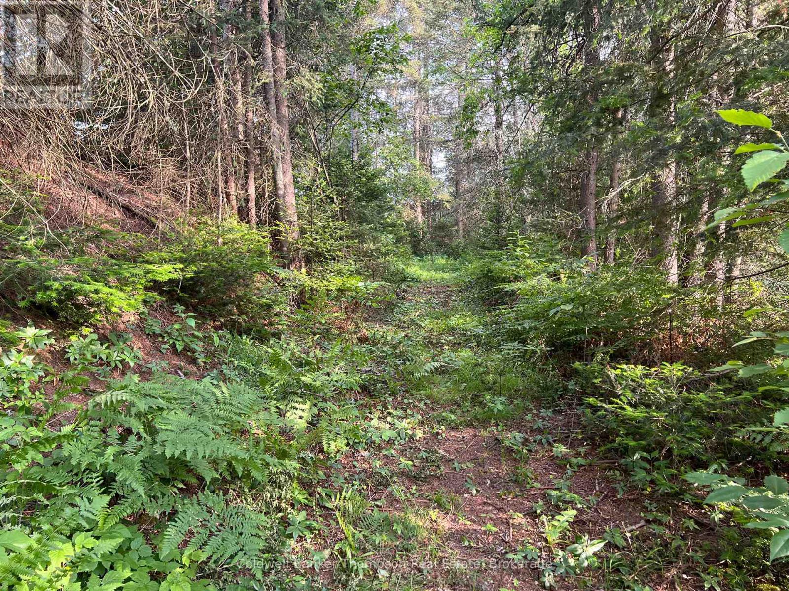 1152 Forest Lake Road, Joly, Ontario  P0A 1Z0 - Photo 16 - X12264677