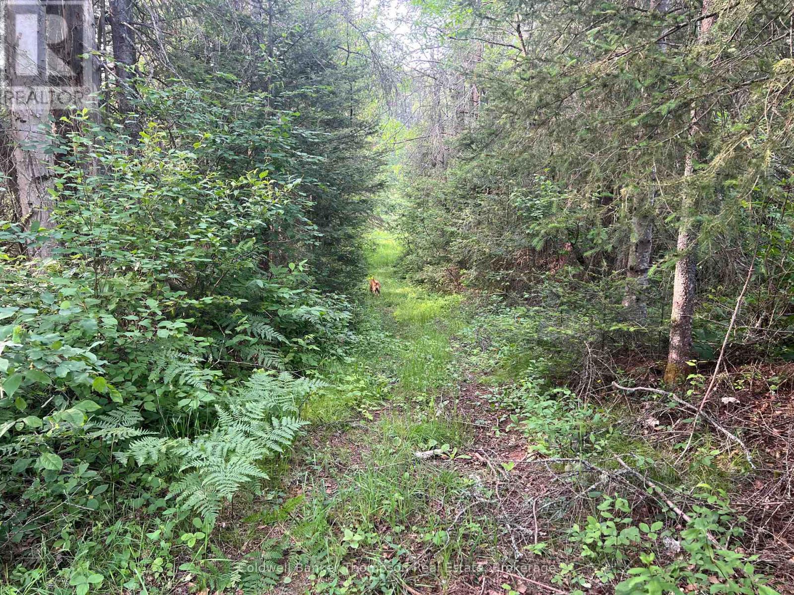 1152 Forest Lake Road, Joly, Ontario  P0A 1Z0 - Photo 7 - X12264677