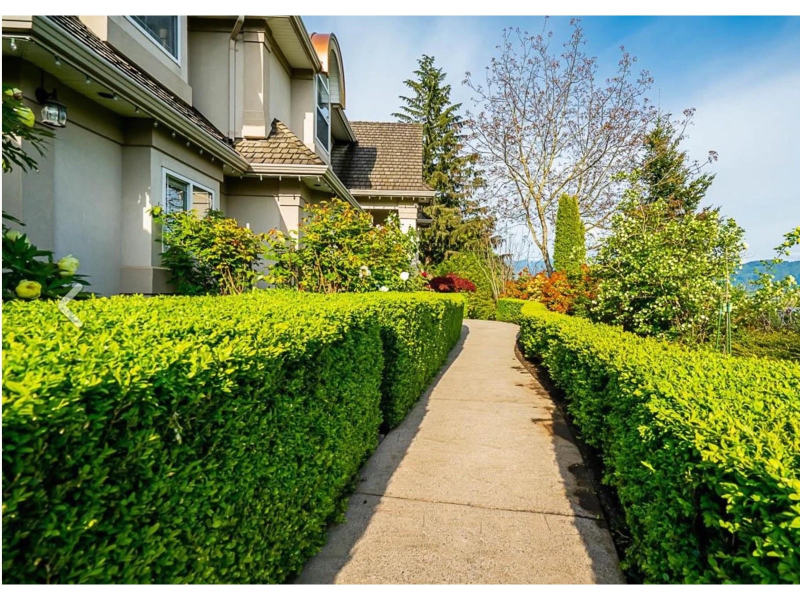 Property at 34991 HAMON DRIVE image 3