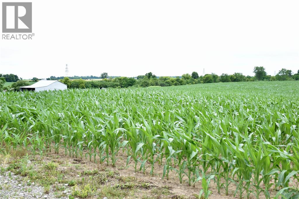 15686 Muirkirk Line, Muirkirk, Ontario  N0L 1X0 - Photo 2 - 25016912