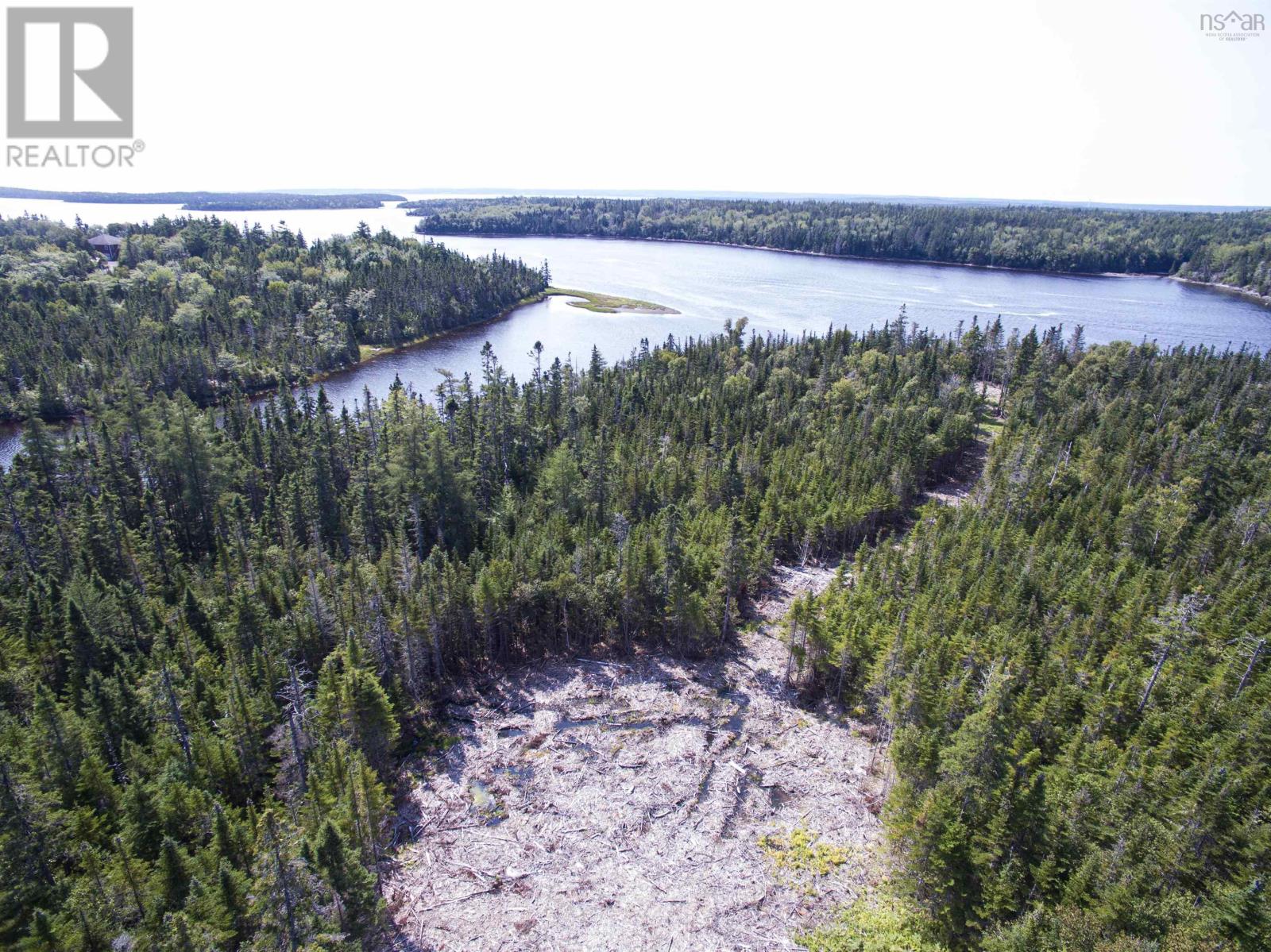 Property at 81 Orion Crescent image 4