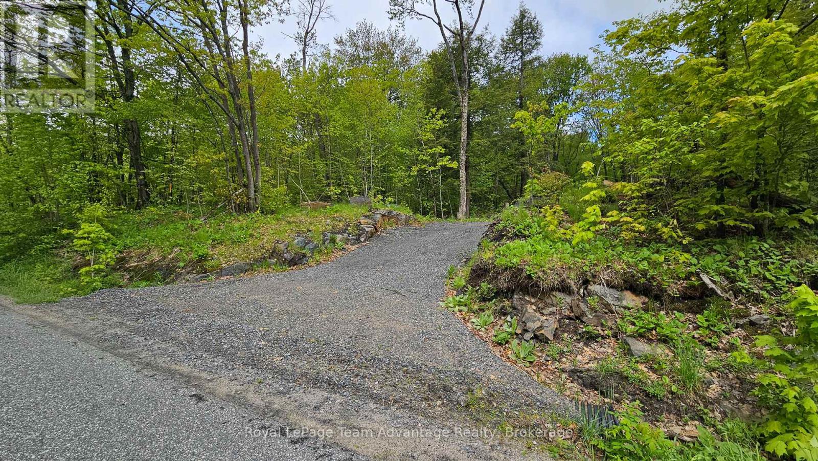 31 Pinewood Road, Mcdougall, Ontario  P2A 2W7 - Photo 6 - X12173074