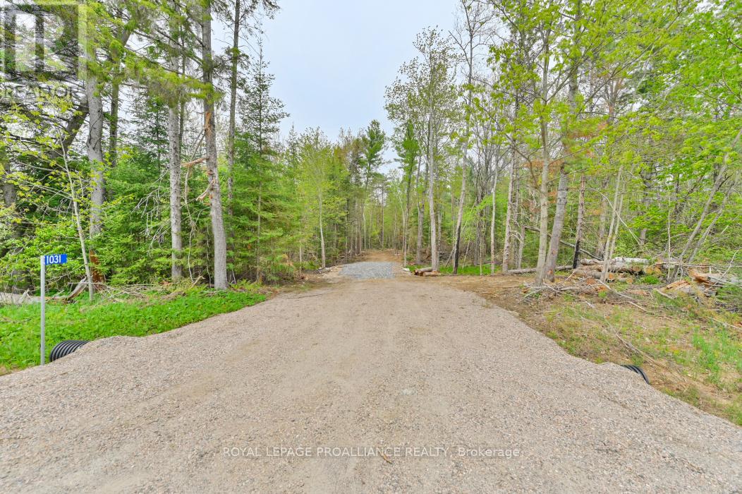 1031 ROAD 506, North Frontenac, Ontario