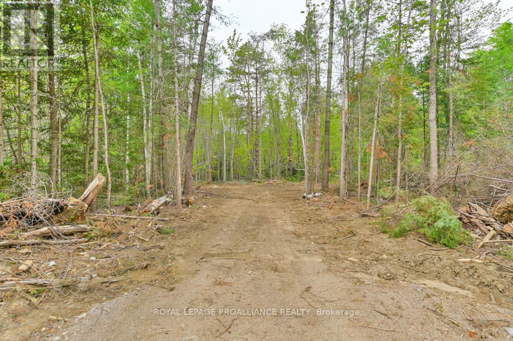 1031 Road 506, North Frontenac, Ontario  K0H 1K0 - Photo 6 - X12265078