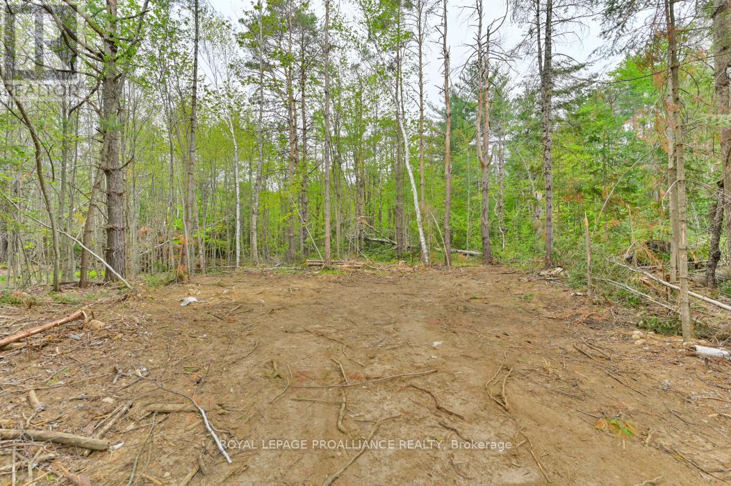 1031 Road 506, North Frontenac, Ontario  K0H 1K0 - Photo 7 - X12265078