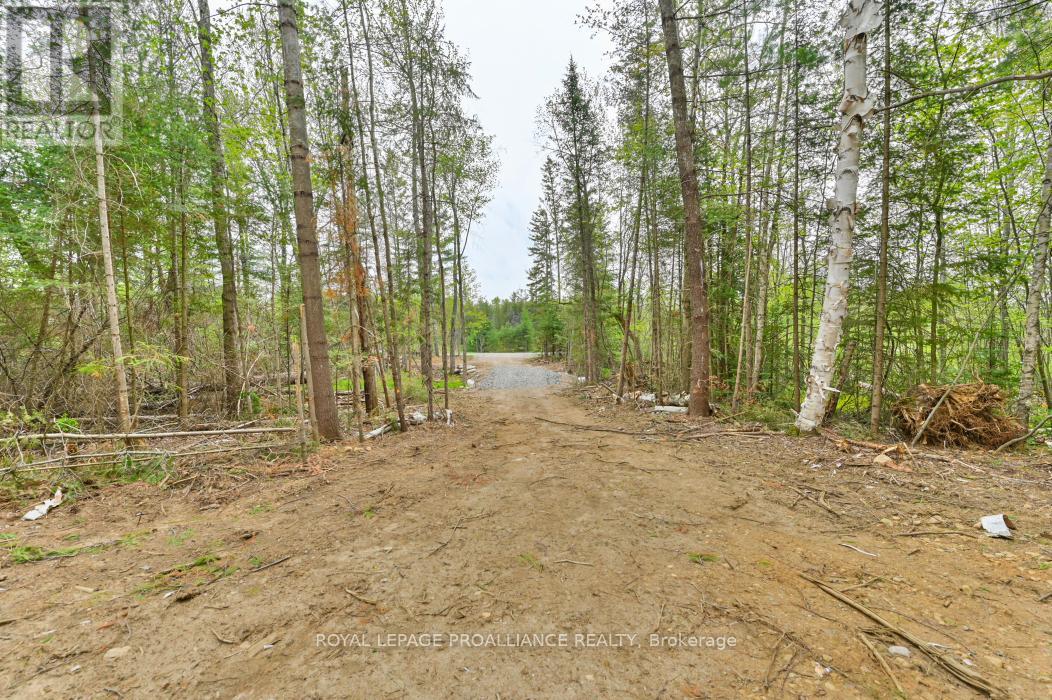 1031 Road 506, North Frontenac, Ontario  K0H 1K0 - Photo 9 - X12265078