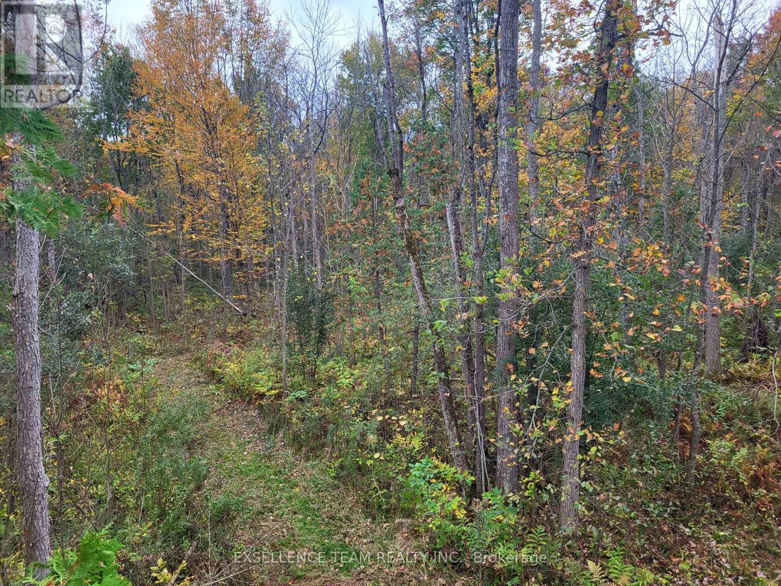 0 Raymond Road, South Stormont, Ontario  K0C 1Y0 - Photo 10 - X12265199