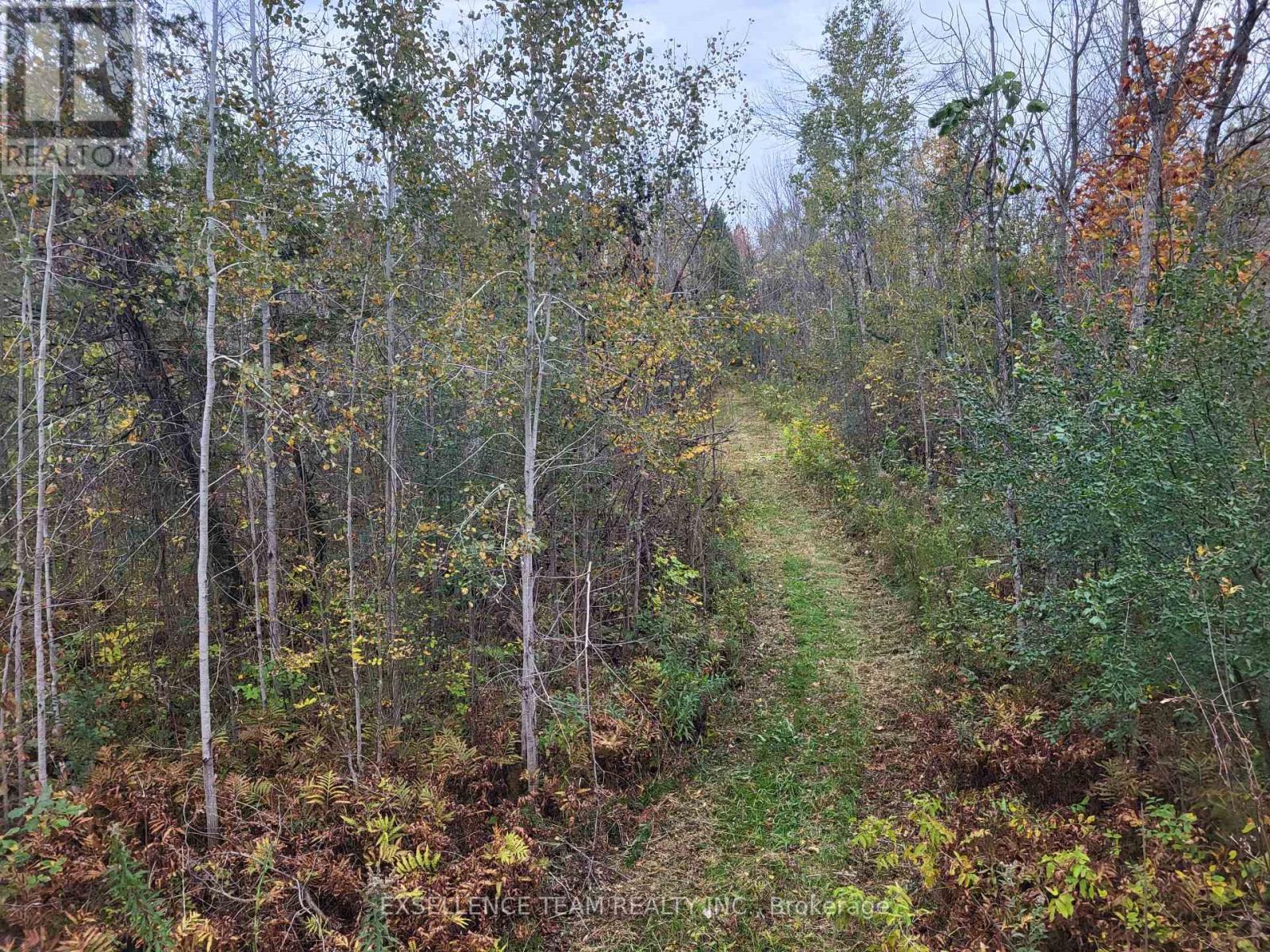 0 Raymond Road, South Stormont, Ontario  K0C 1Y0 - Photo 11 - X12265199