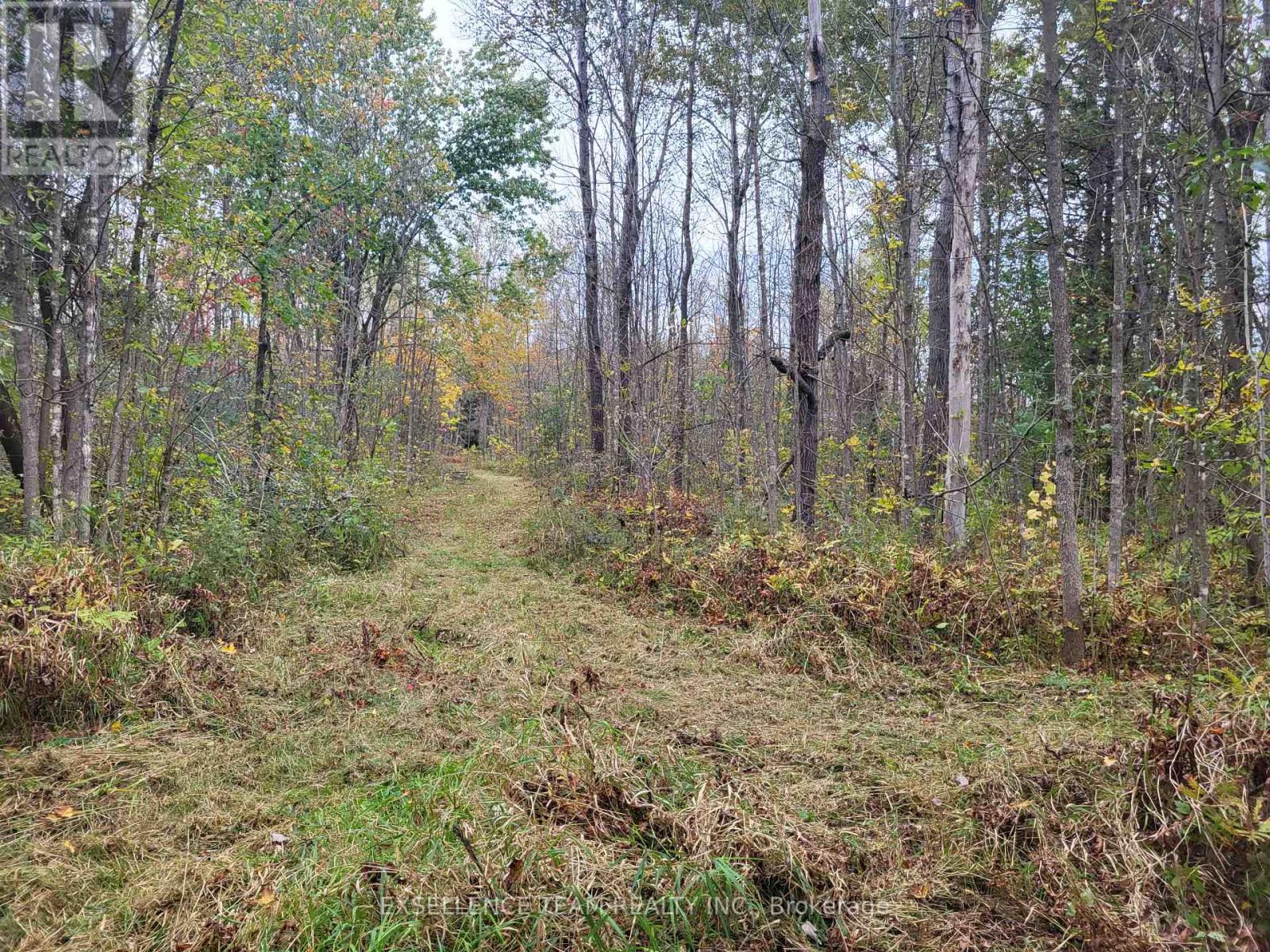 0 Raymond Road, South Stormont, Ontario  K0C 1Y0 - Photo 13 - X12265199