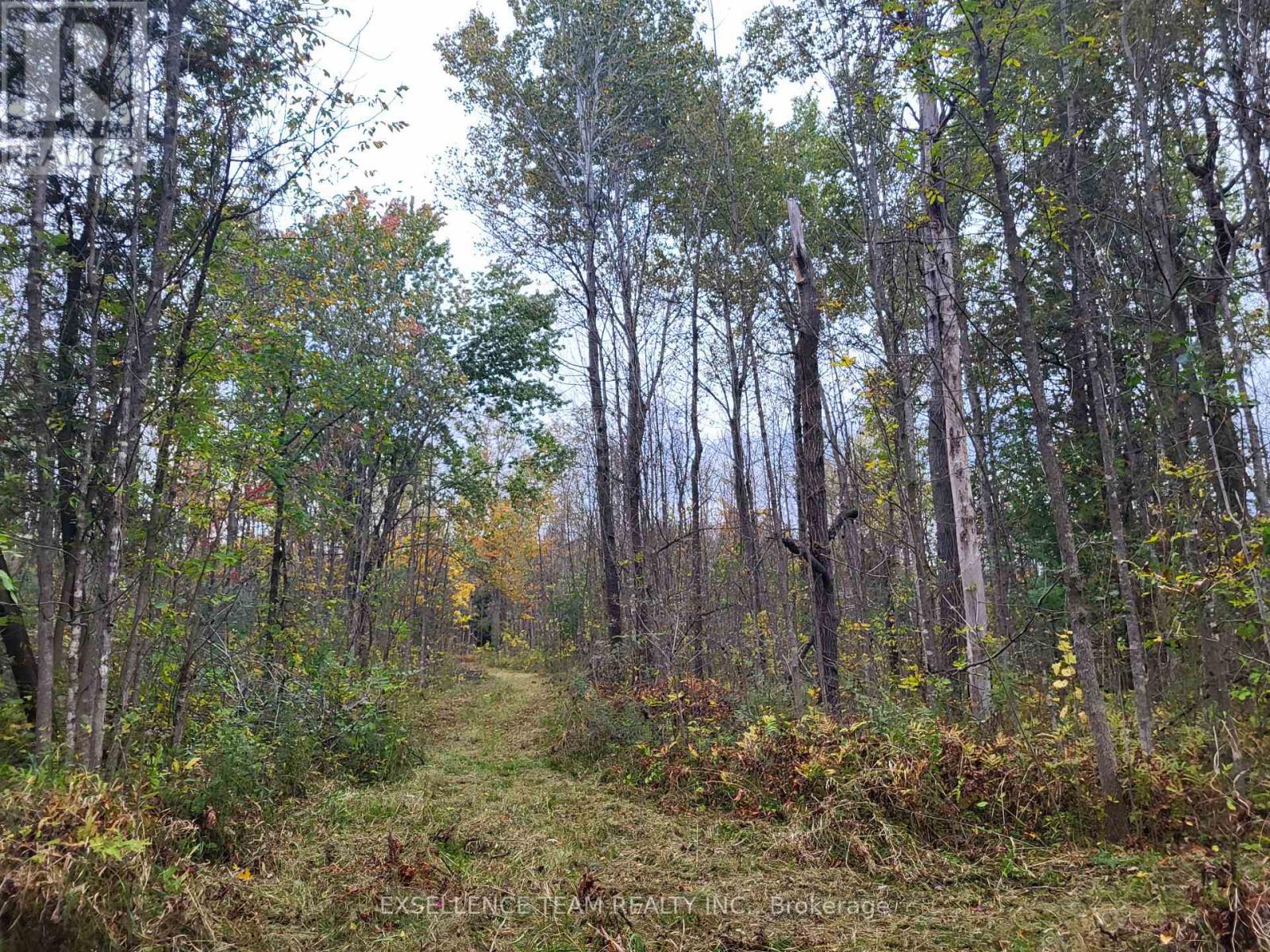 0 Raymond Road, South Stormont, Ontario  K0C 1Y0 - Photo 14 - X12265199