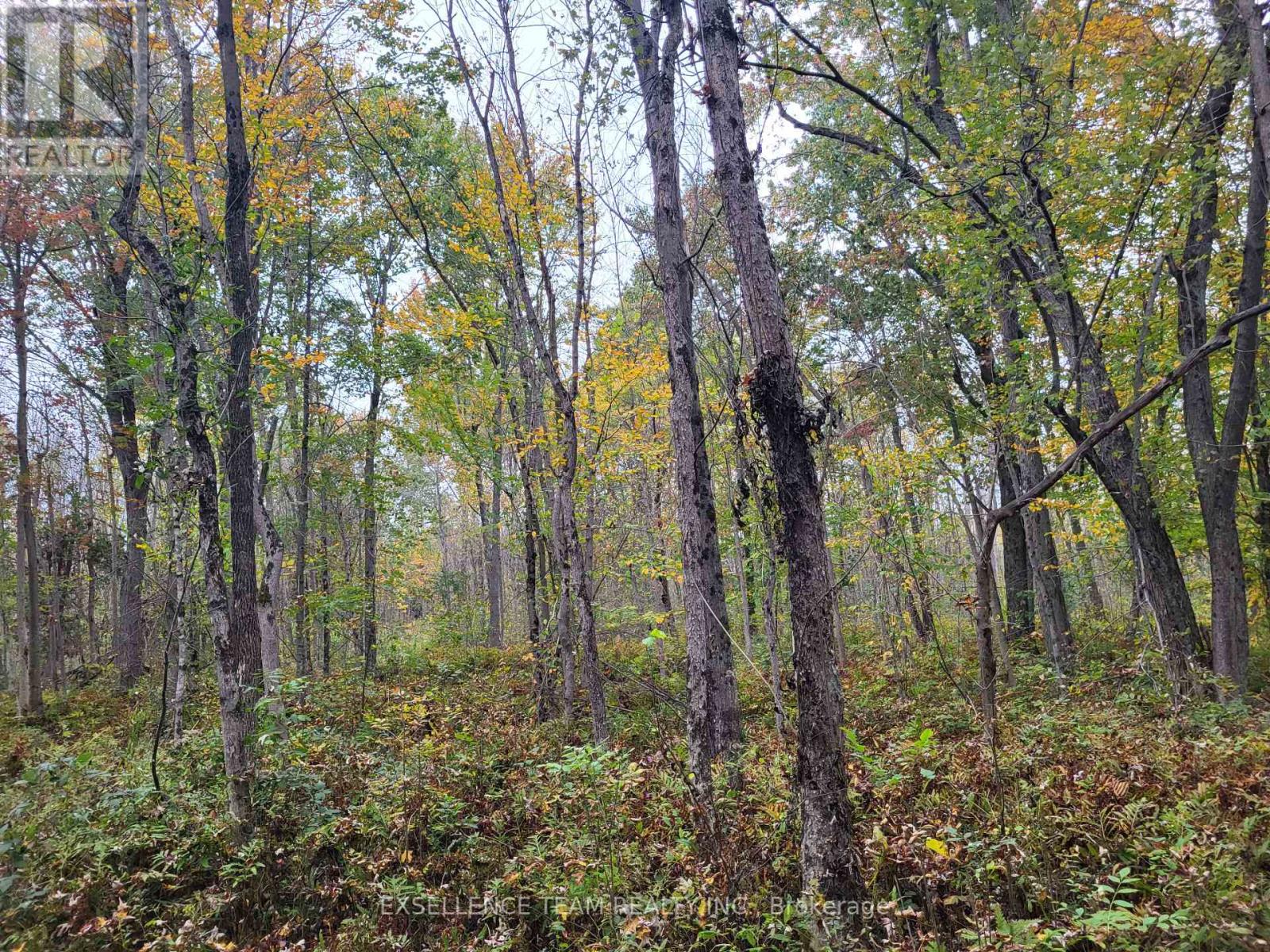 0 Raymond Road, South Stormont, Ontario  K0C 1Y0 - Photo 16 - X12265199