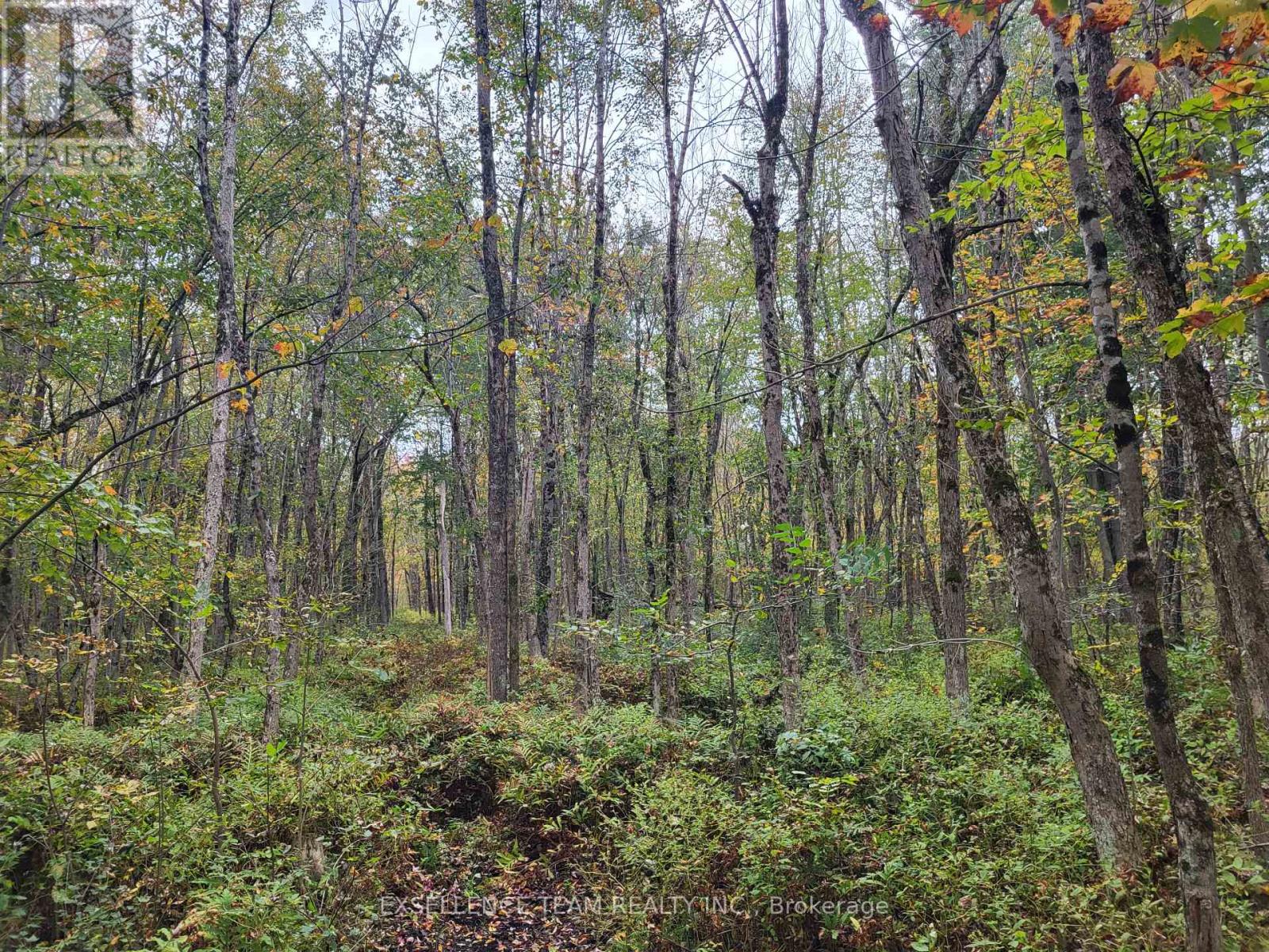 0 Raymond Road, South Stormont, Ontario  K0C 1Y0 - Photo 17 - X12265199