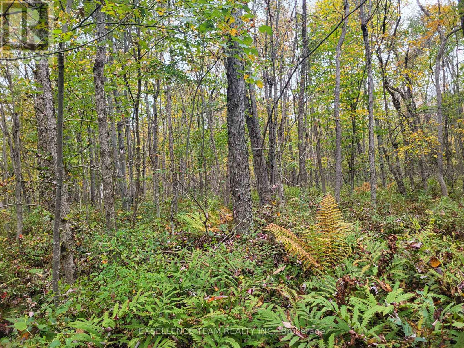 0 Raymond Road, South Stormont, Ontario  K0C 1Y0 - Photo 18 - X12265199
