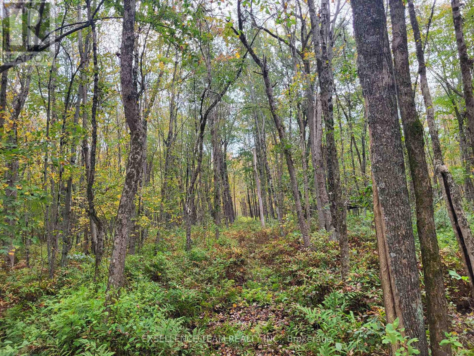 0 Raymond Road, South Stormont, Ontario  K0C 1Y0 - Photo 19 - X12265199