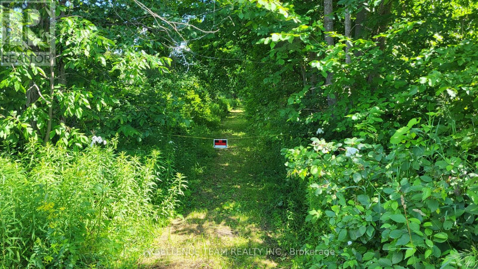 0 Raymond Road, South Stormont, Ontario  K0C 1Y0 - Photo 2 - X12265199