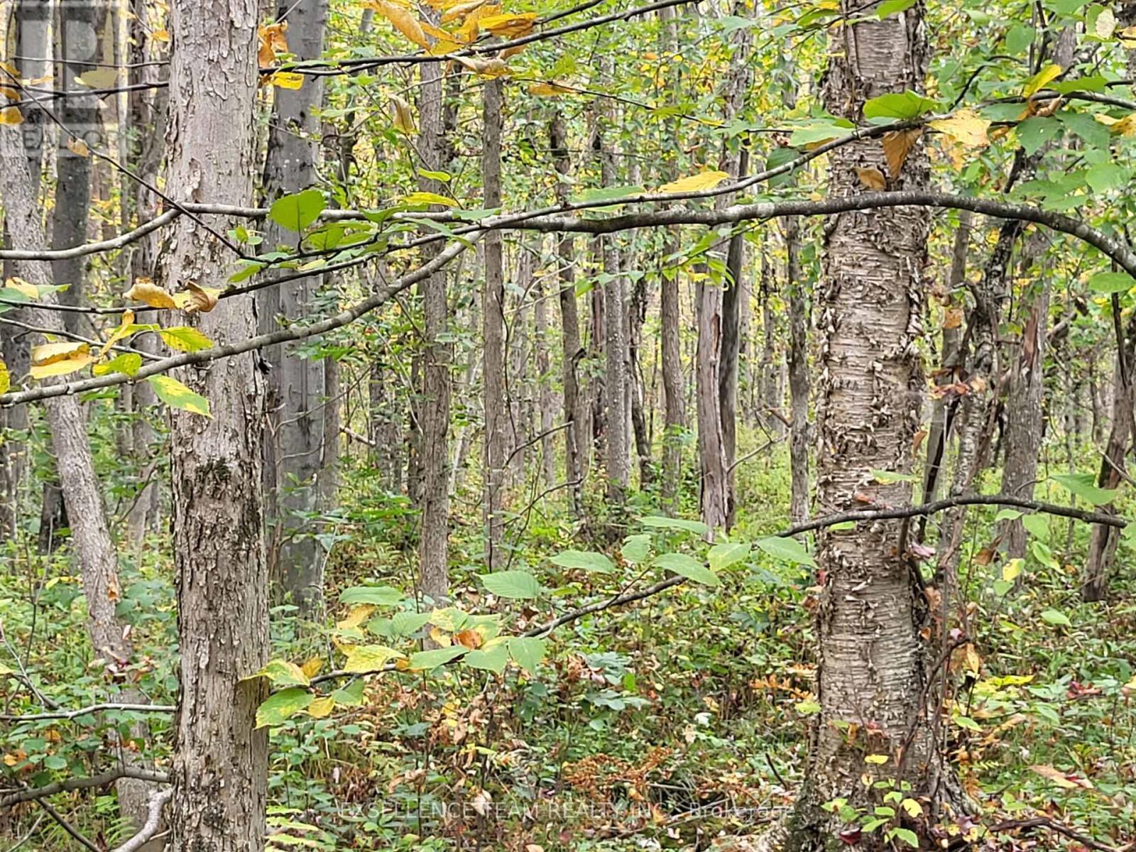 0 Raymond Road, South Stormont, Ontario  K0C 1Y0 - Photo 20 - X12265199