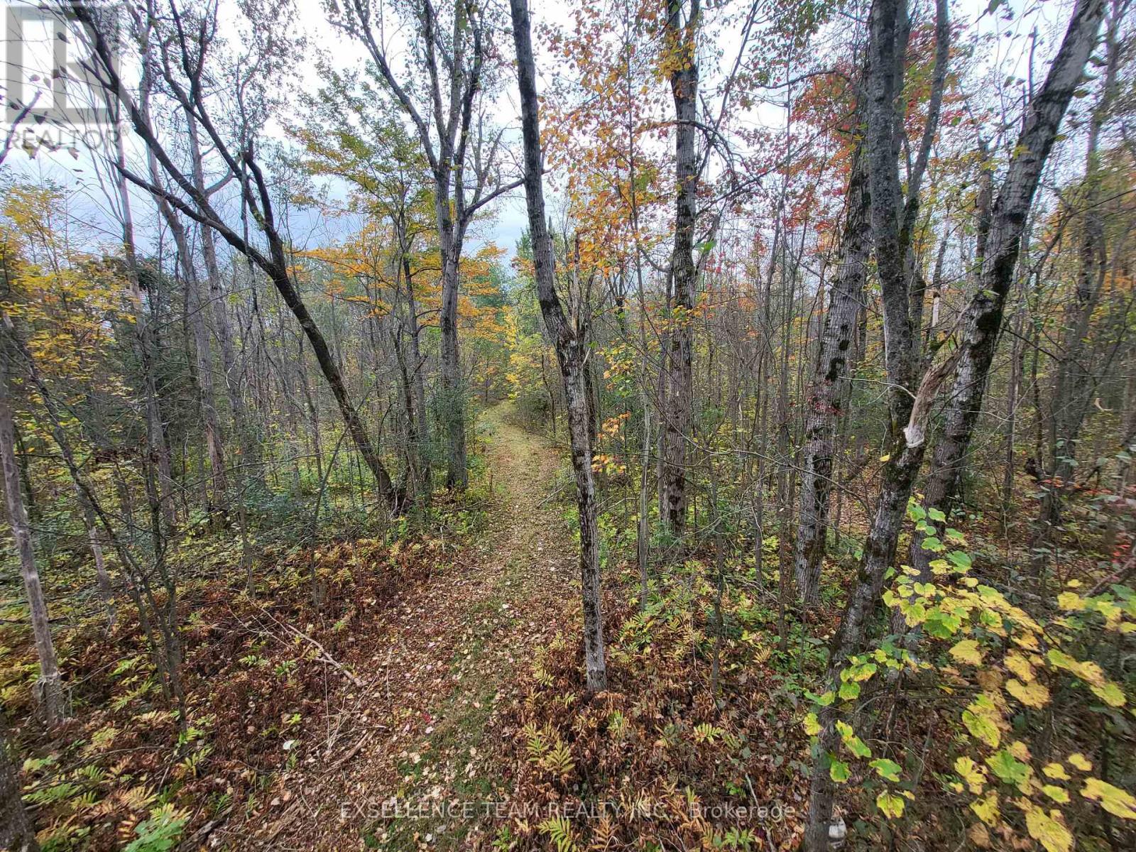 0 Raymond Road, South Stormont, Ontario  K0C 1Y0 - Photo 25 - X12265199