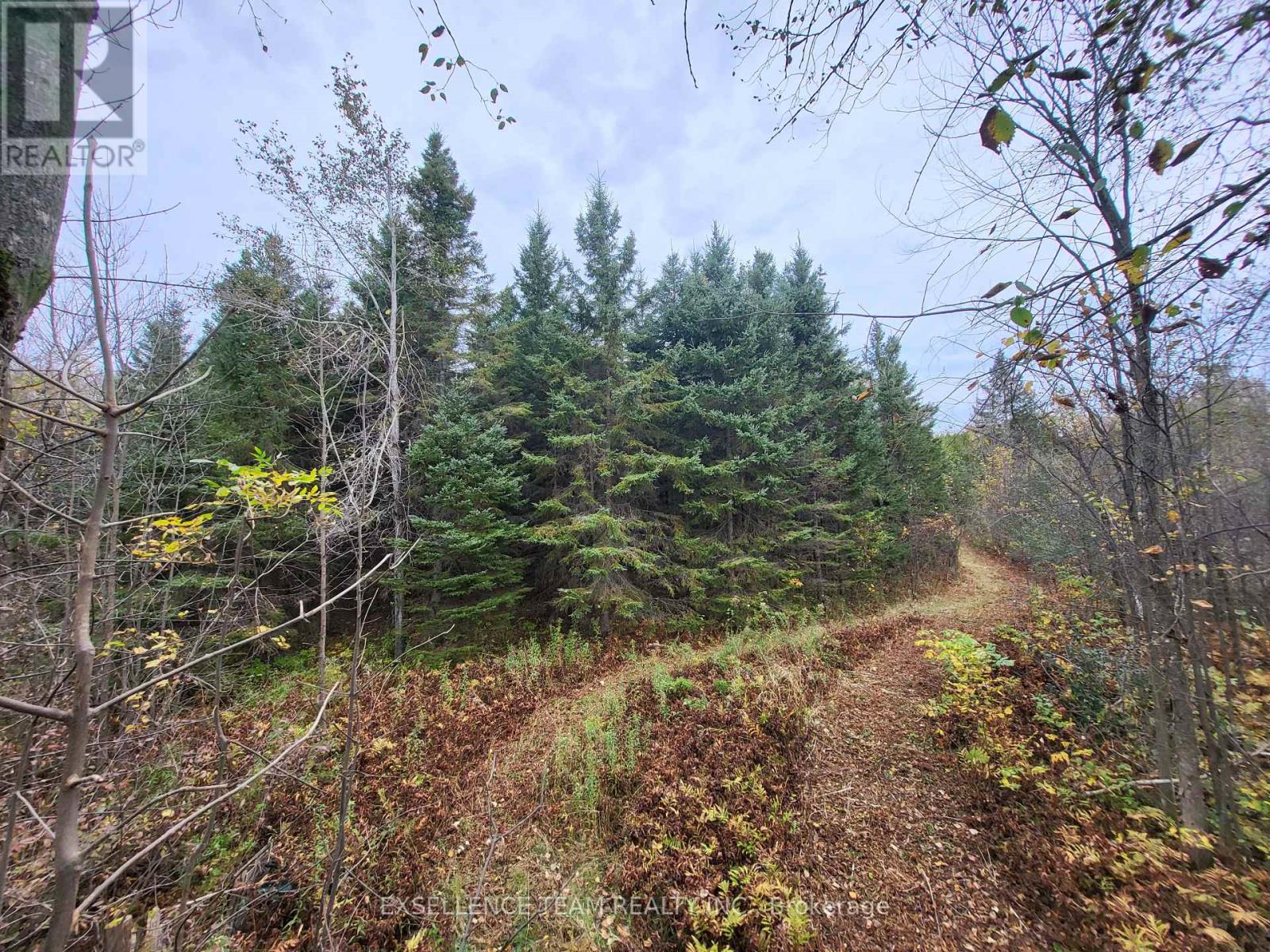 0 Raymond Road, South Stormont, Ontario  K0C 1Y0 - Photo 27 - X12265199