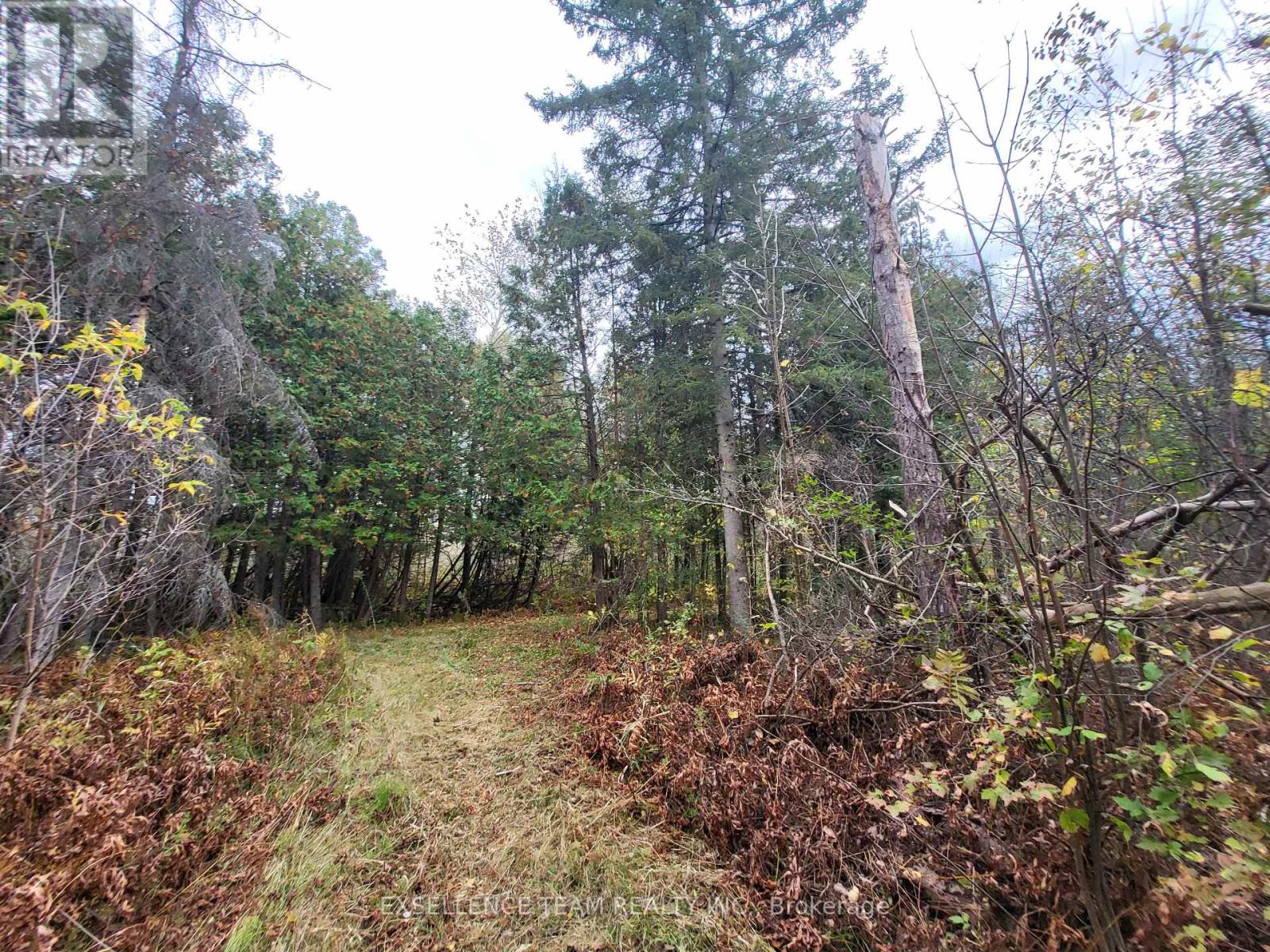 0 Raymond Road, South Stormont, Ontario  K0C 1Y0 - Photo 32 - X12265199