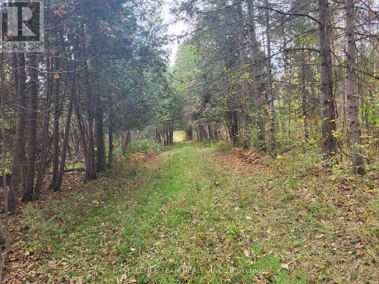 0 Raymond Road, South Stormont, Ontario  K0C 1Y0 - Photo 7 - X12265199