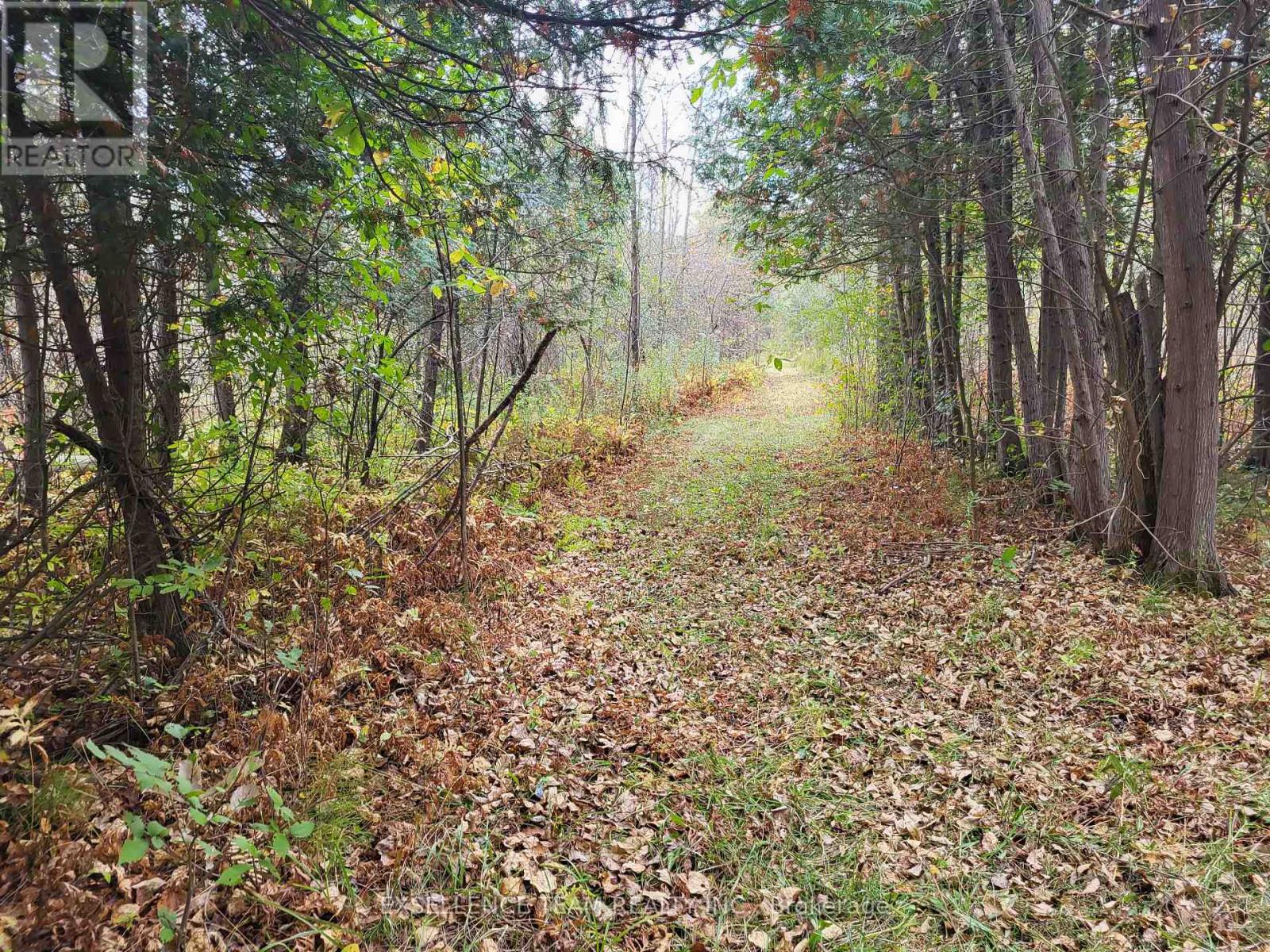 0 Raymond Road, South Stormont, Ontario  K0C 1Y0 - Photo 8 - X12265199