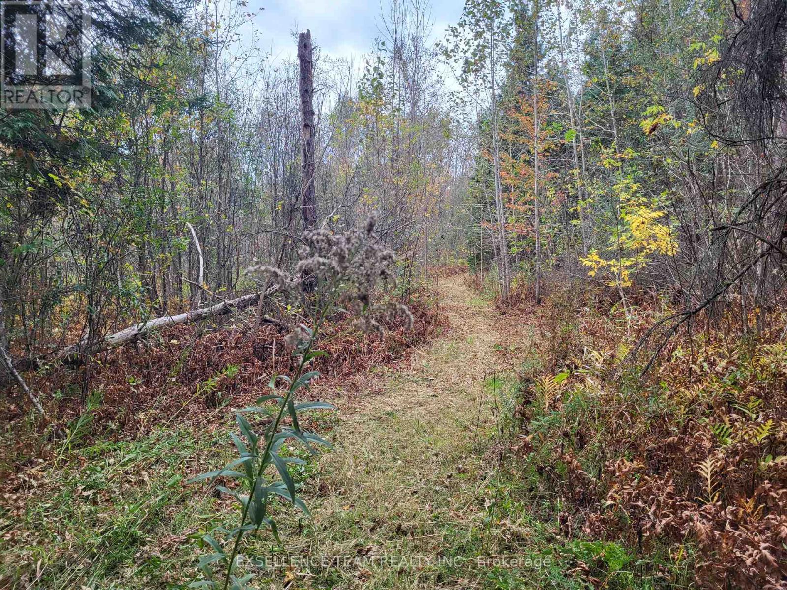 0 Raymond Road, South Stormont, Ontario  K0C 1Y0 - Photo 9 - X12265199