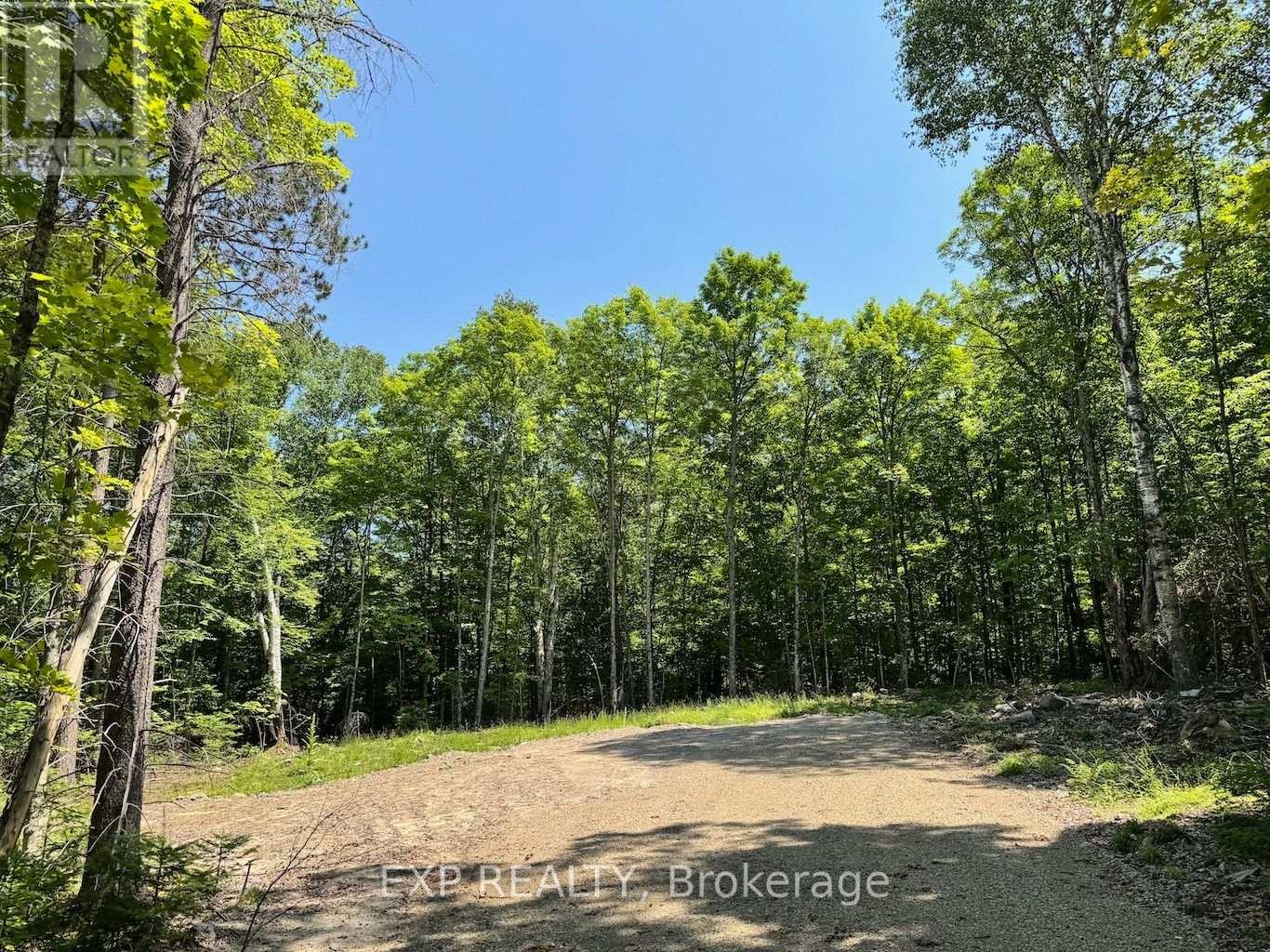 Lot 17 Lakewoods Drive, Madawaska Valley, Ontario  K0J 1B0 - Photo 4 - X12148259