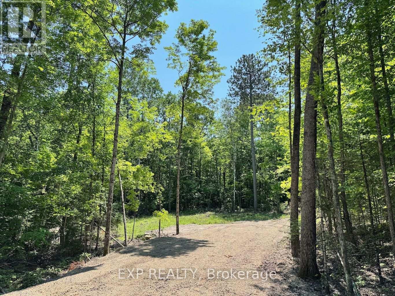 Lot 16 Lakewoods Drive, Madawaska Valley, Ontario  K0J 1B0 - Photo 2 - X12148235