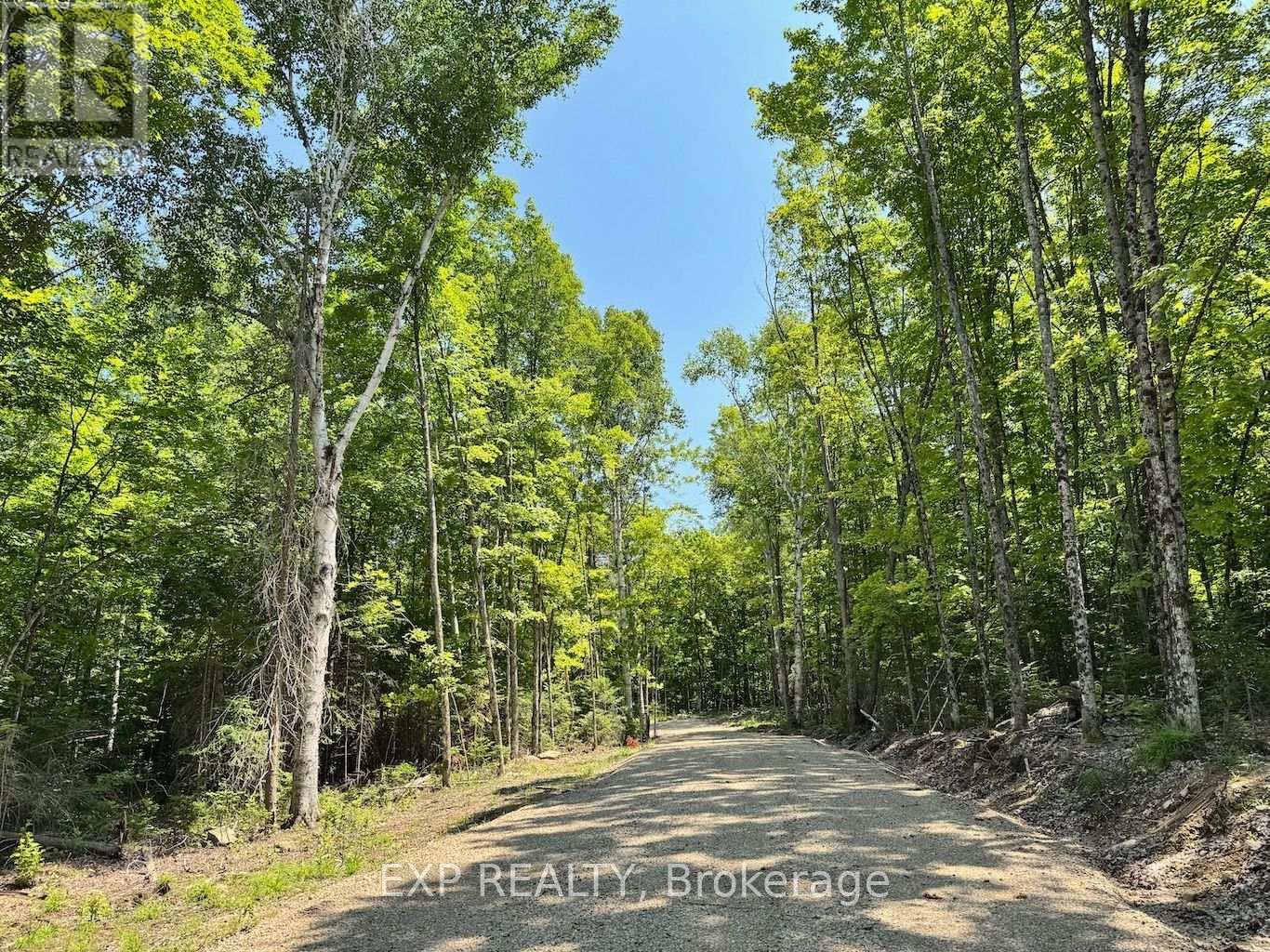 Lot 17 Lakewoods Drive, Madawaska Valley, Ontario  K0J 1B0 - Photo 2 - X12148259