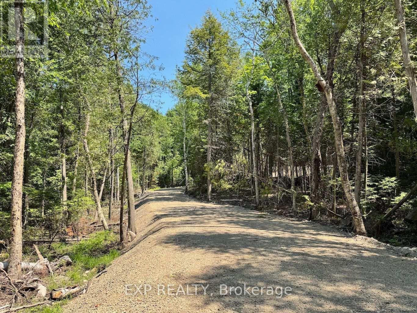 Lot 14 Lakewoods Drive, Madawaska Valley, Ontario  K0J 1B0 - Photo 2 - X12148213