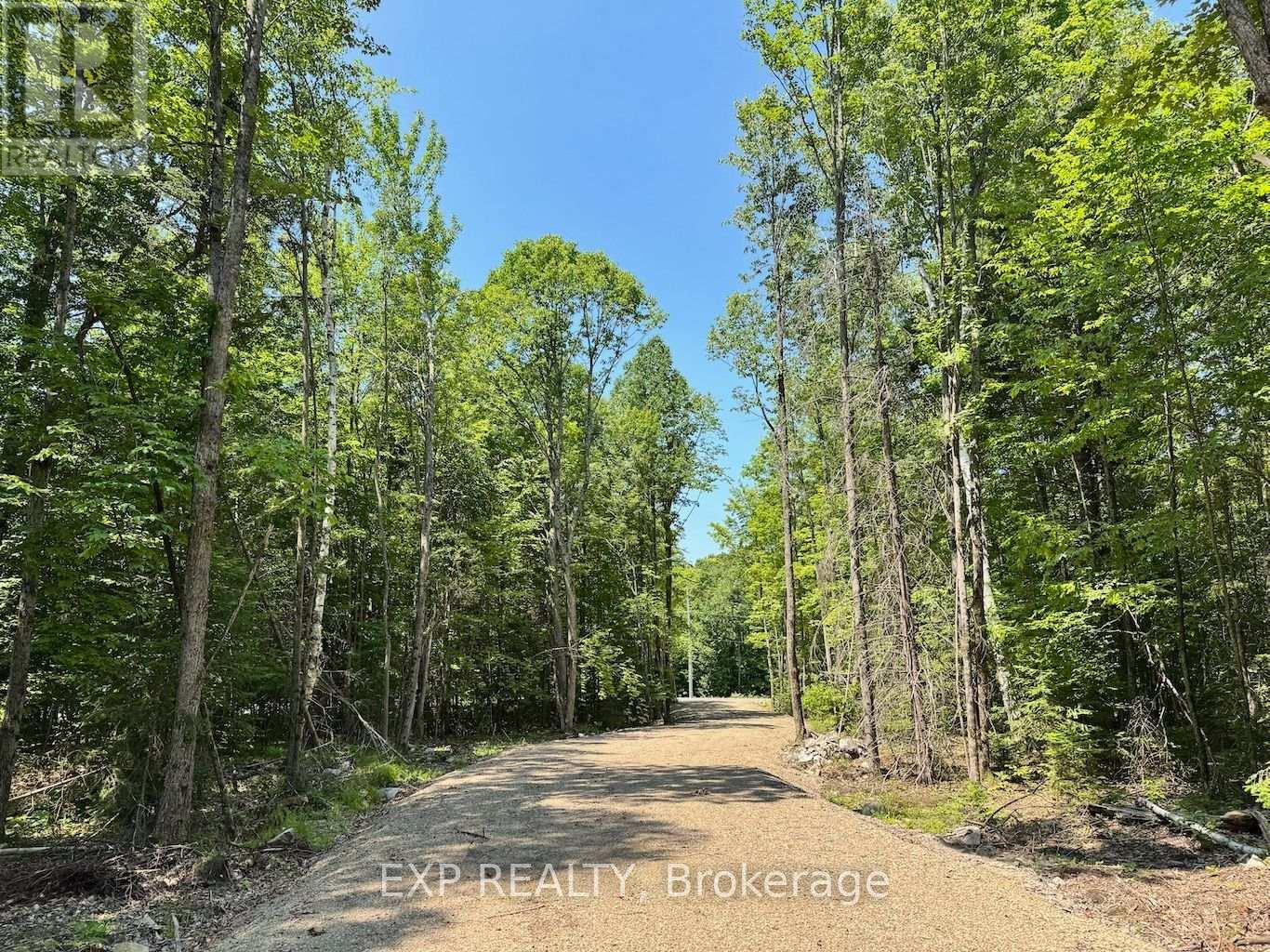 Lot 21 Lakewoods Drive, Madawaska Valley, Ontario  K0J 1B0 - Photo 5 - X12148266