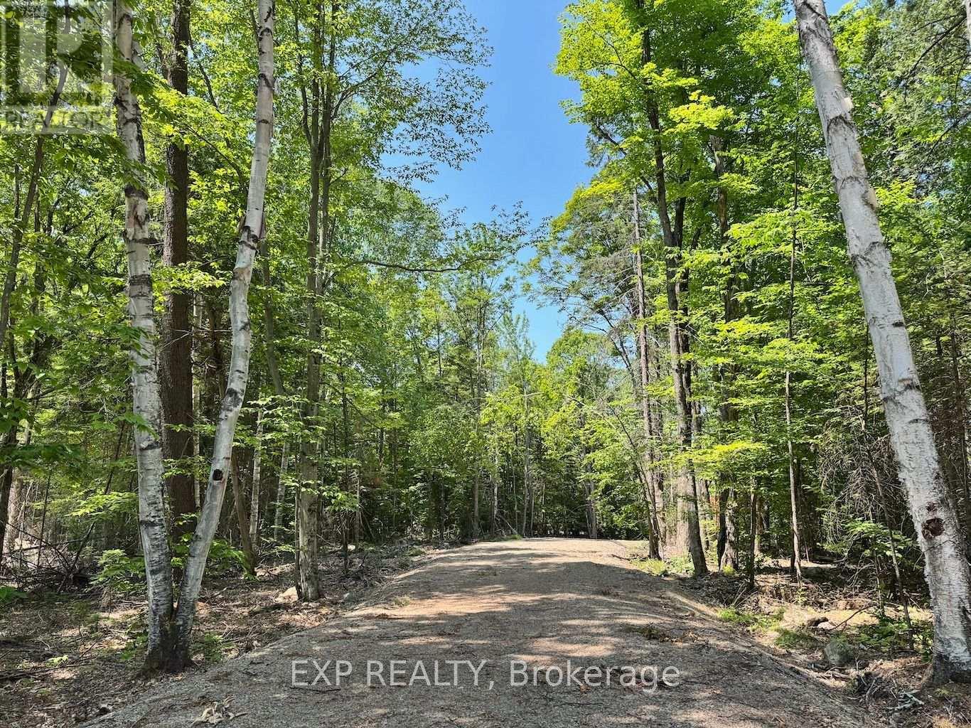 Lot 21 Lakewoods Drive, Madawaska Valley, Ontario  K0J 1B0 - Photo 4 - X12148266