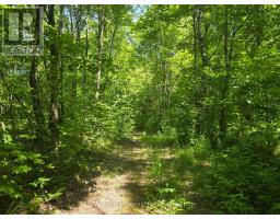 1134 WALKERS LINE ROAD, Algonquin Highlands, Ontario