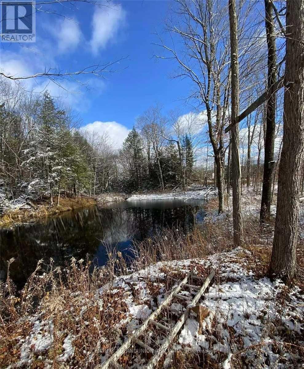 1091 Crystal Lake Road, Trent Lakes, Ontario  K0M 2A0 - Photo 6 - X12265209