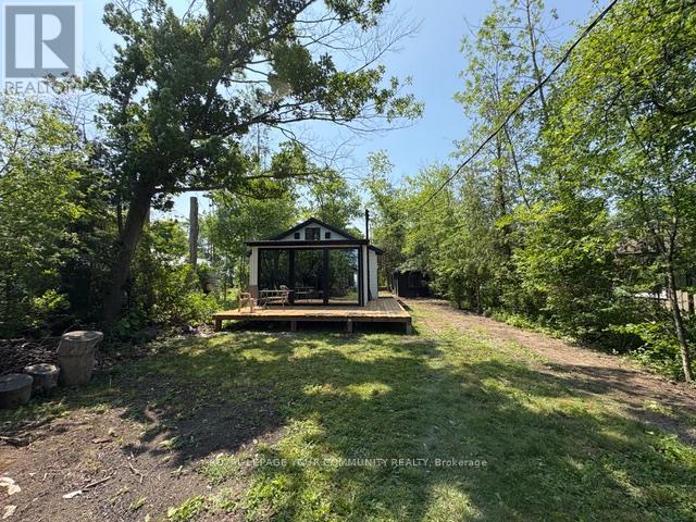 10 Snake Island Road, Georgina Islands, Ontario  L4P 3E9 - Photo 23 - N12265569