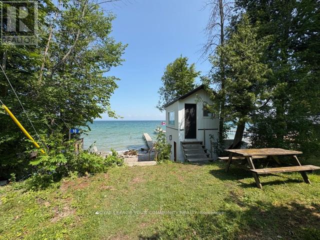 10 Snake Island Road, Georgina Islands, Ontario  L4P 3E9 - Photo 26 - N12265569