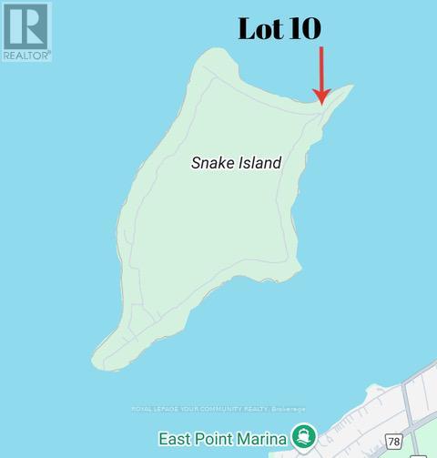 10 Snake Island Road, Georgina Islands, Ontario  L4P 3E9 - Photo 33 - N12265569
