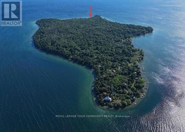 10 Snake Island Road, Georgina Islands, Ontario  L4P 3E9 - Photo 34 - N12265569