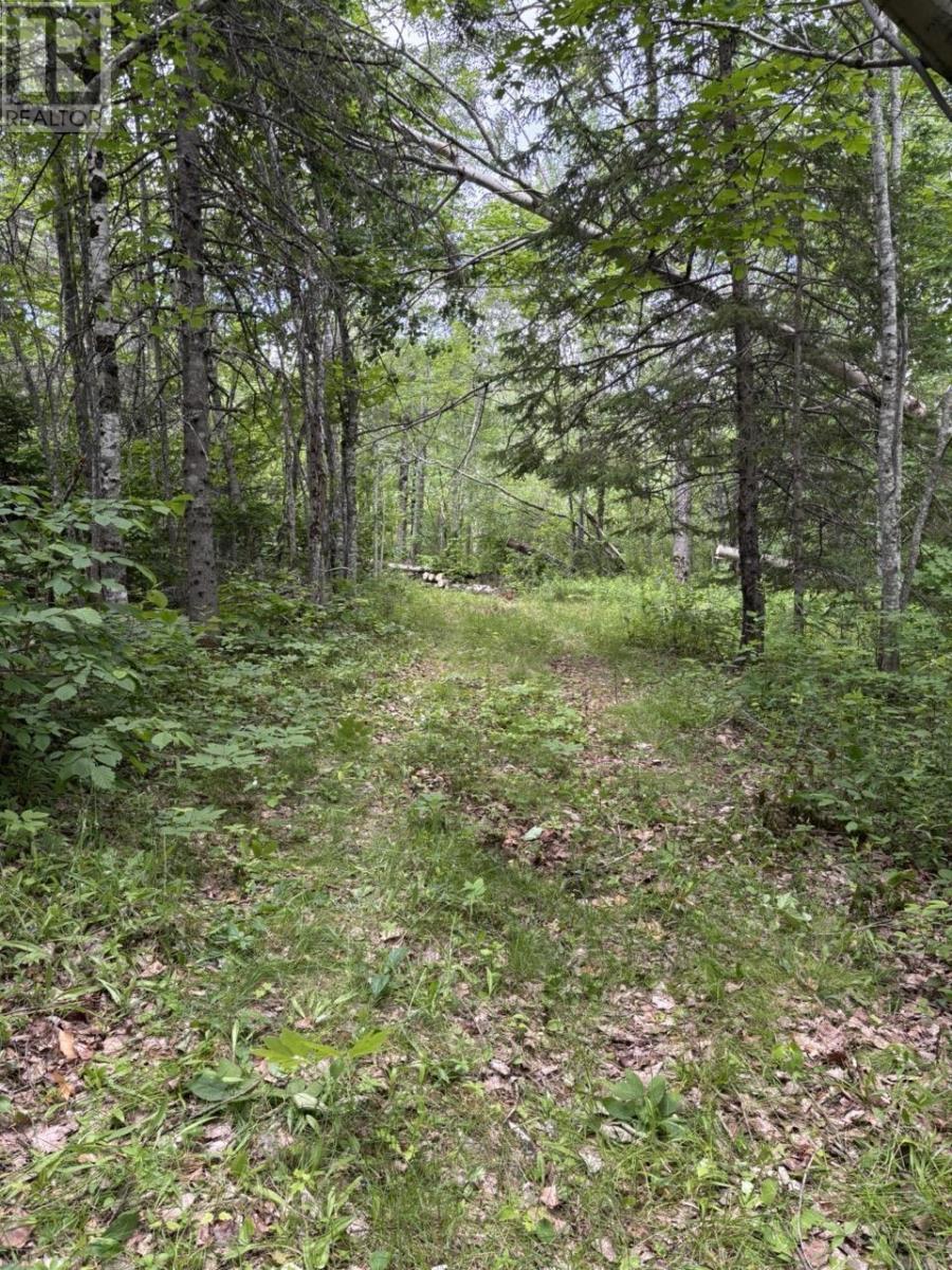 91m Lake Road, Millbrook, Nova Scotia  B0K 1V0 - Photo 6 - 202514604