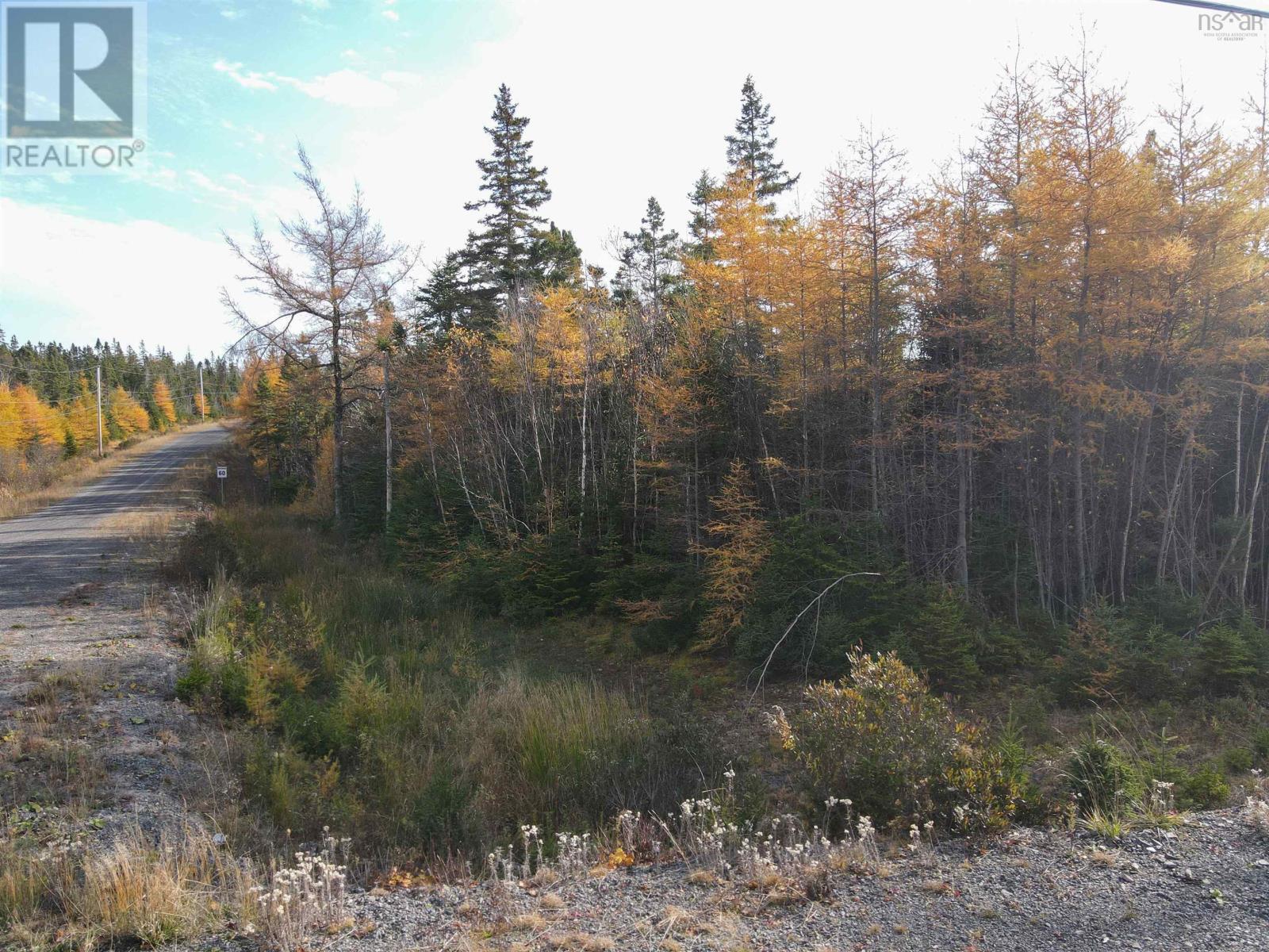 Lot 1a-16 Birch Crescent, Cape George Estates, Nova Scotia  B0E 3B0 - Photo 23 - 202426610
